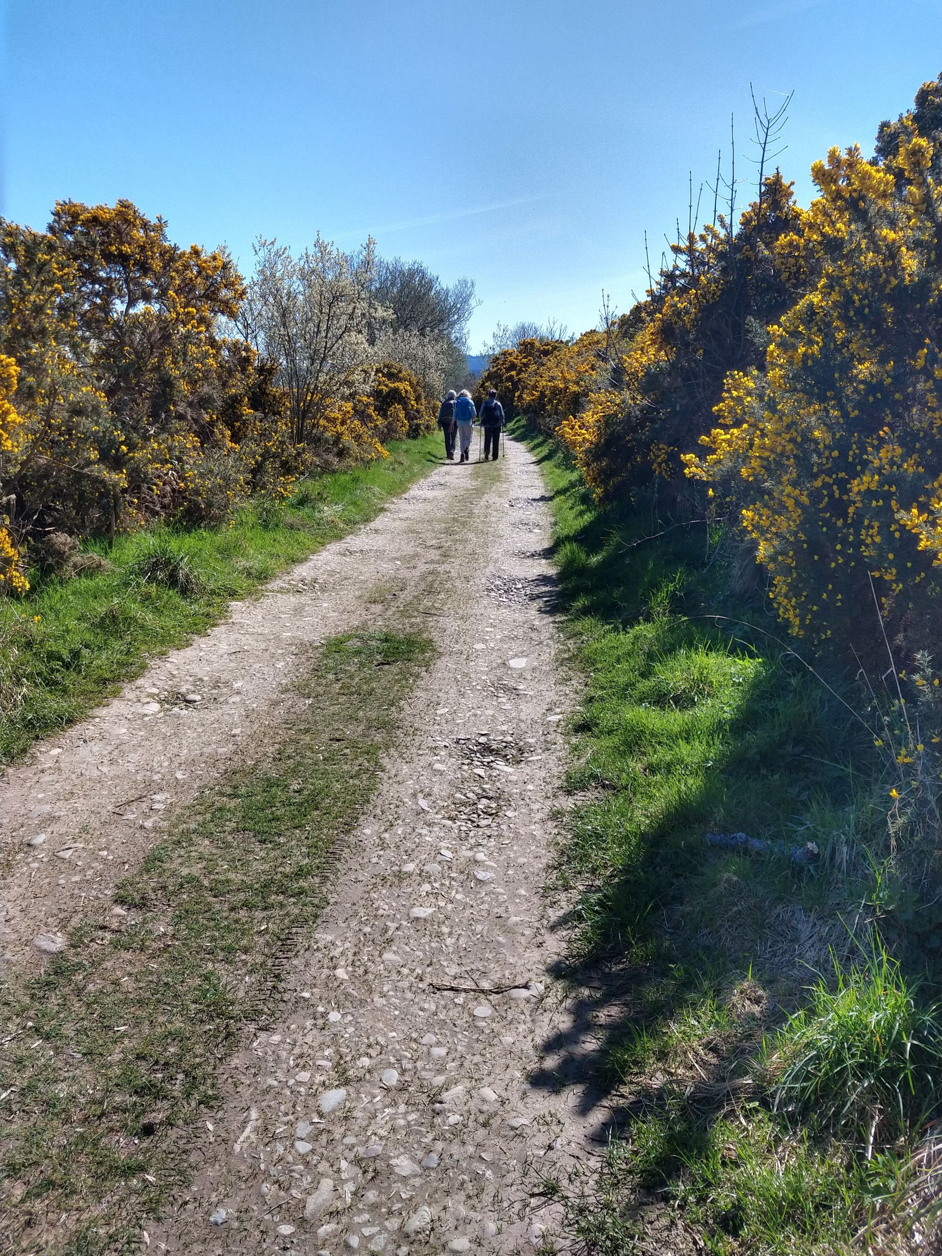 Walk at Sway
